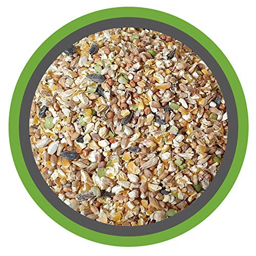 Das beste Hühnerfutter im Überblick - Ratgeber